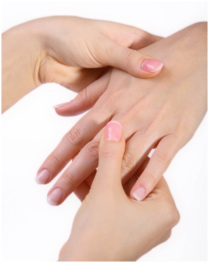 Meridian Hand Therapy Therapists